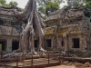 2695 Cambodja Ta Prohm